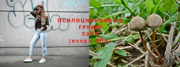 COCAINE Богородицк