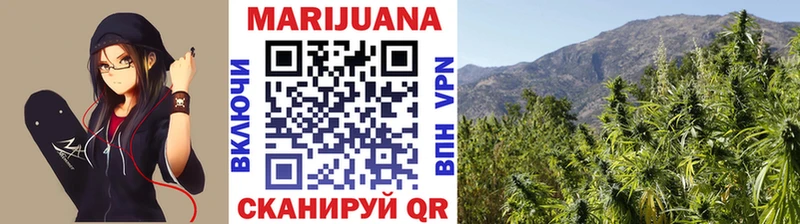 кракен маркетплейс  купить наркотик  Нарьян-Мар  Каннабис индика 
